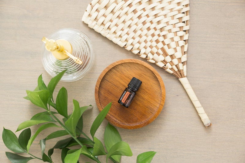 doTERRA - Arborvitae Essential Oil - 5mL - Image 3
