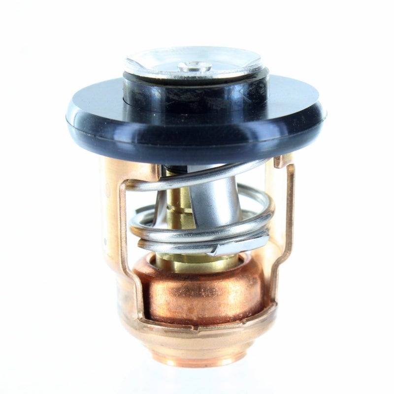 ياماها ترموستات أصلي جديد 66M-12411-01-00