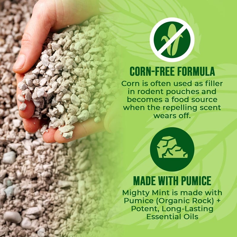 Mighty Mint Mouse Repellent Pouches – Peppermint, Castor Oil & Cinnamon Formula – Natural Indoor Deterrent for Mice and Rodents – Plant-Based, Long-Lasting Protection – 12 Count - Image 5