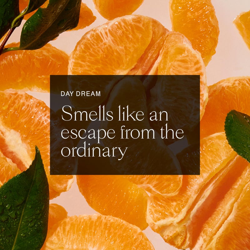 Each & Every مزيل العرق الطبيعي بالكامل للنساء والرجال - للبشرة الحساسة، خالي من الألمنيوم وبيكربونات الصوديوم - تحكم طويل الأمد في الروائح لمدة 24 ساعة - بحجم السفر، 2.5 أونصة - Image 5