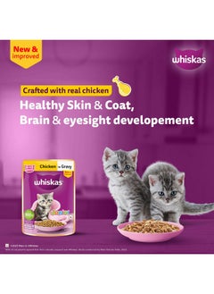 Junior Kitten (2-12 Months) Wet Cat Food, Chicken In Gravy, 80 G X 14, Hydrating Food Made With Real Chicken, 100% Complete & Balanced Nutrition For Kittens - pzsku/ZDDAB620782CAFC6D9827Z/45/_/1735817618/4e634fe4-71bf-4504-84ee-3a2f7ad048dd