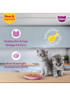 Junior Kitten (2-12 Months) Wet Cat Food, Chicken In Gravy, 80 G X 14, Hydrating Food Made With Real Chicken, 100% Complete & Balanced Nutrition For Kittens - pzsku/ZDDAB620782CAFC6D9827Z/45/_/1735817620/c58c3e31-9da1-40f4-8283-9695935f69f8