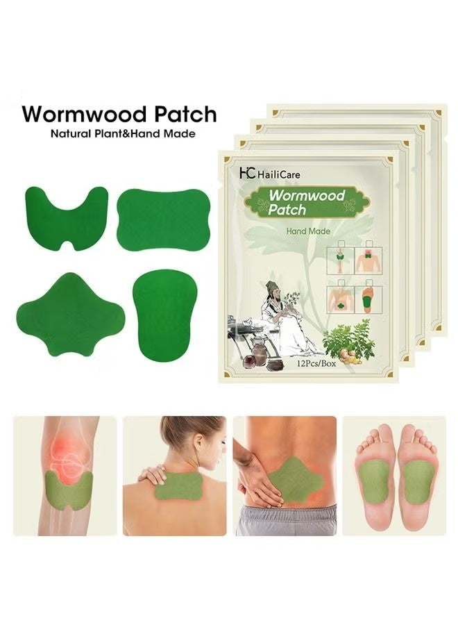 هايلي كير 48 قطعة من رقع المفاصل والعضلات، رقع حرارية للركبة والكتف والرقبة، مجموعة رقع عشبية لآلام العضلات والمفاصل تدوم طويلاً - Image 1