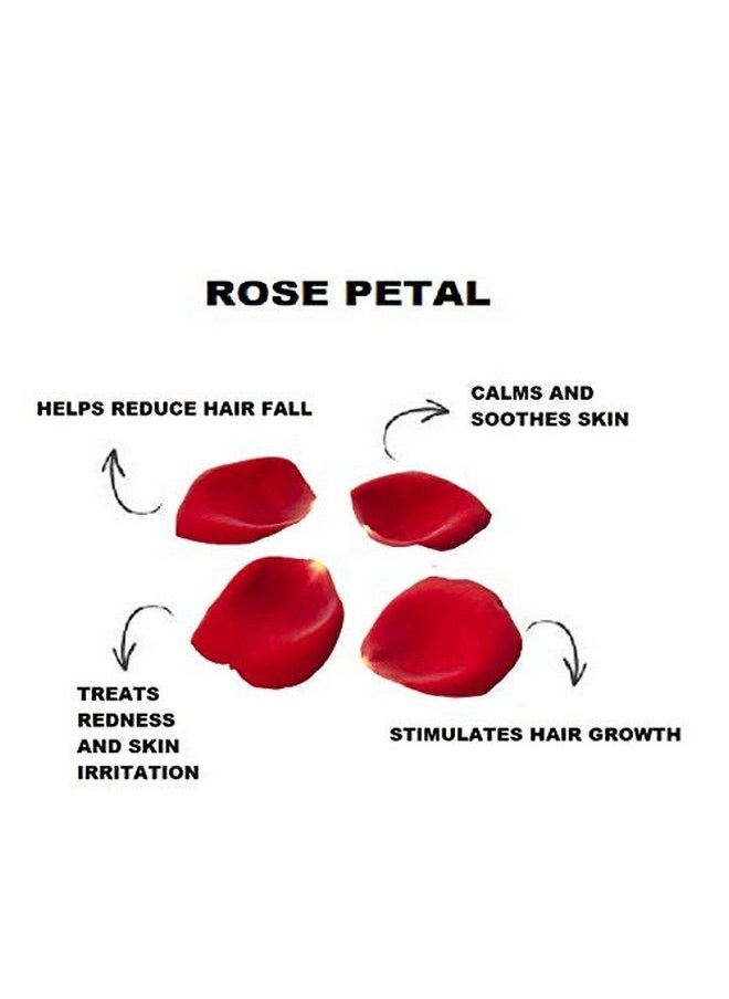QYKKARE - Premium Rose Powder 100 Gm ( Natural & Pure ) - Image 1