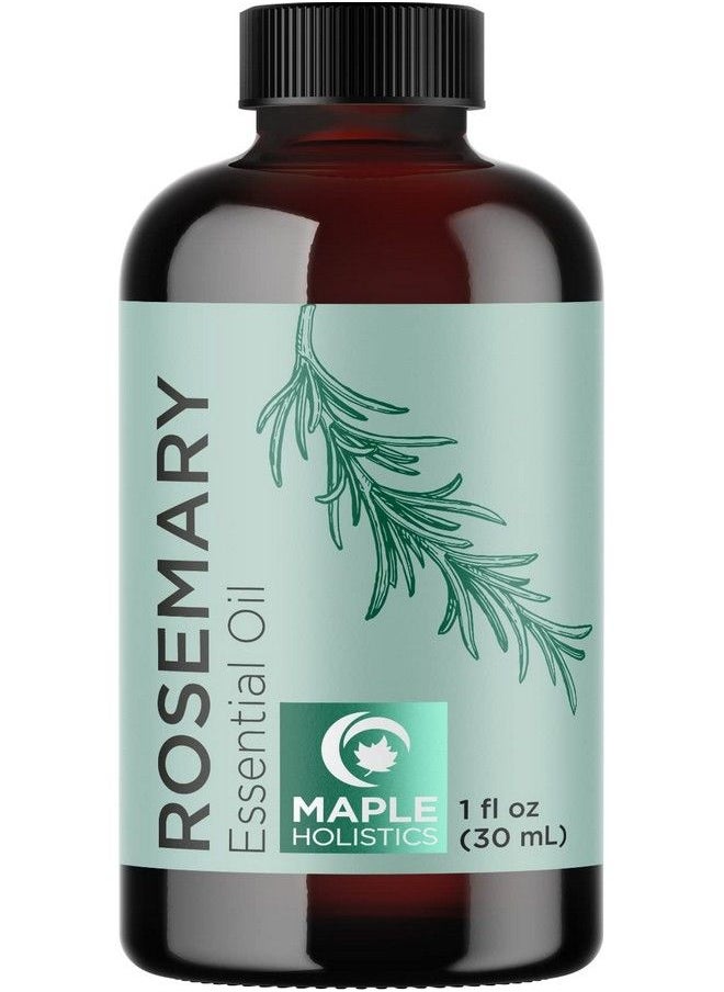 Anti Aging Antioxidant Natural Skin Care Pure Rosemary Essential Oil Ancient Beauty Elixir - pzsku/ZDDADD2743978764418A2Z/45/_/1692783707/a9839b6c-9904-4b59-80ea-1eca05e1a58b