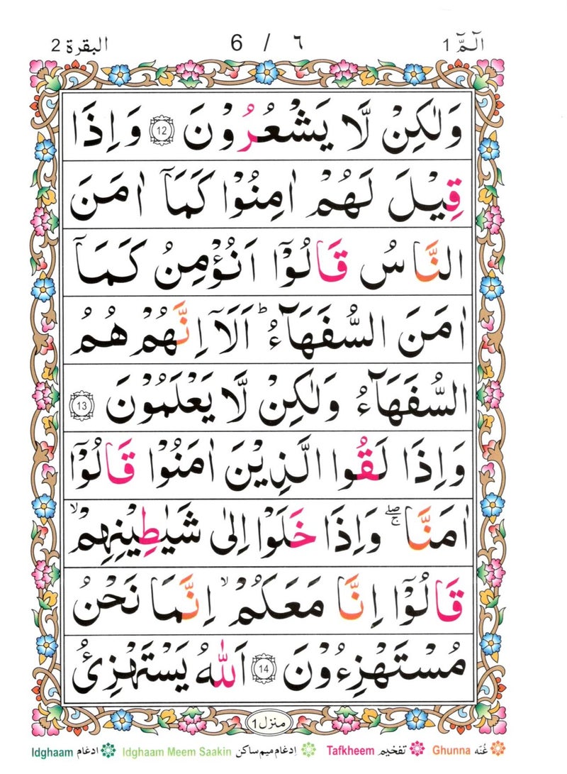 تجويد جزء (الم) خط اردو ملون حروف التجويد بحروف كبيرة واضحة حجم وسط ١٧ *٢٤ - Image 3