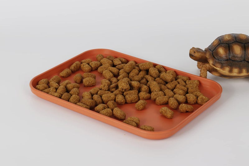 WOLEDOE Reptile Large Water Dish, Tortoises Food Bowl - S (9.5 * 6.7 * 0.6) - Image 3