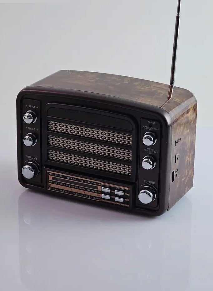 Denx Hi-Fi Radio, FM/AM ,USB/TF/BT Player, Rechargeable Battery  - Image 3