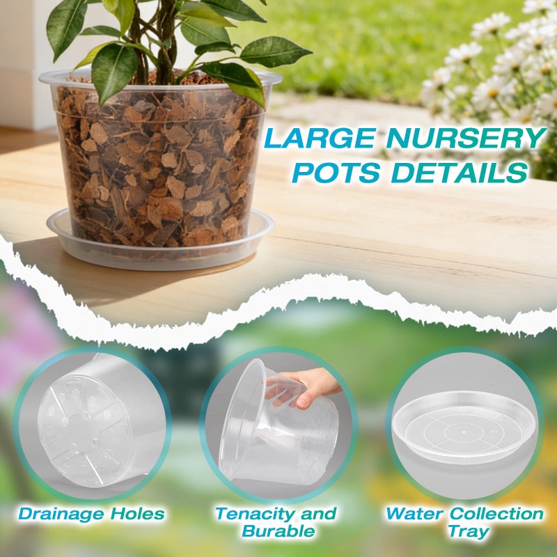 HKKZYT 8/10/12 Inch Clear Nursery Pots with Drainage and Sacuers, 15 Pack Plastic Pots for Plants Indoor Outdoor, Variety Large Clear Pots for Flowers, Succulents (8/10/12inx5pcs) - Image 3