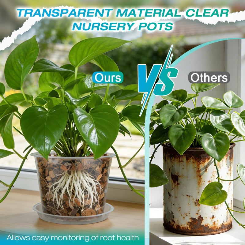 HKKZYT 8/10/12 Inch Clear Nursery Pots with Drainage and Sacuers, 15 Pack Plastic Pots for Plants Indoor Outdoor, Variety Large Clear Pots for Flowers, Succulents (8/10/12inx5pcs) - Image 4