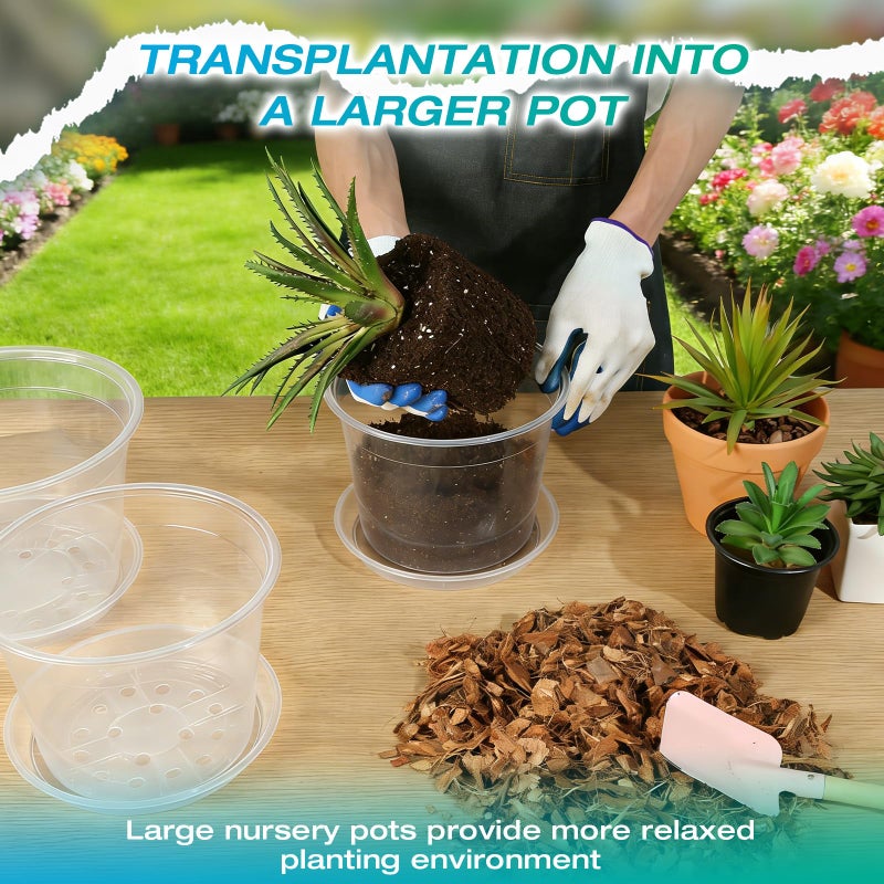 HKKZYT 8/10/12 Inch Clear Nursery Pots with Drainage and Sacuers, 15 Pack Plastic Pots for Plants Indoor Outdoor, Variety Large Clear Pots for Flowers, Succulents (8/10/12inx5pcs) - Image 5