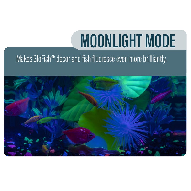 GloFish Betta Shadowbox Aquarium Kit - Image 5