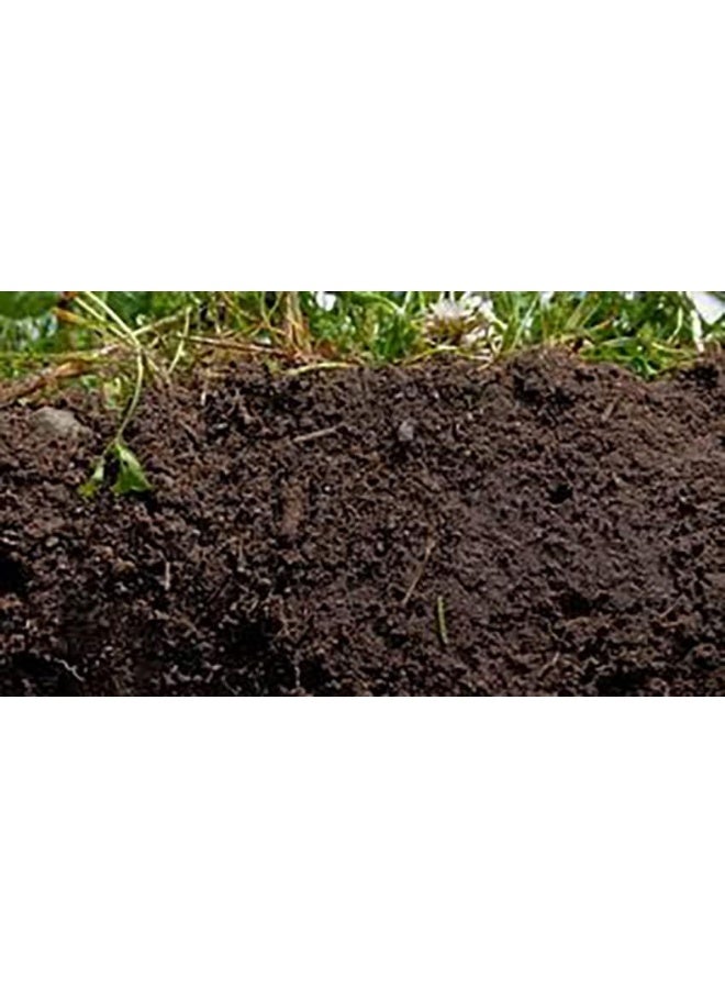 Van Egmond Universal Potting Substrate - Image 3