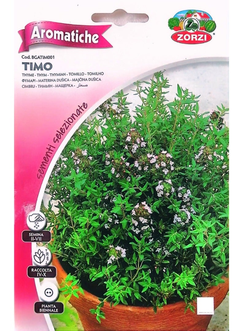 ZORZI Thyme seeds - Image 1