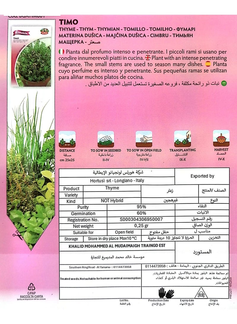 ZORZI Thyme seeds - Image 2