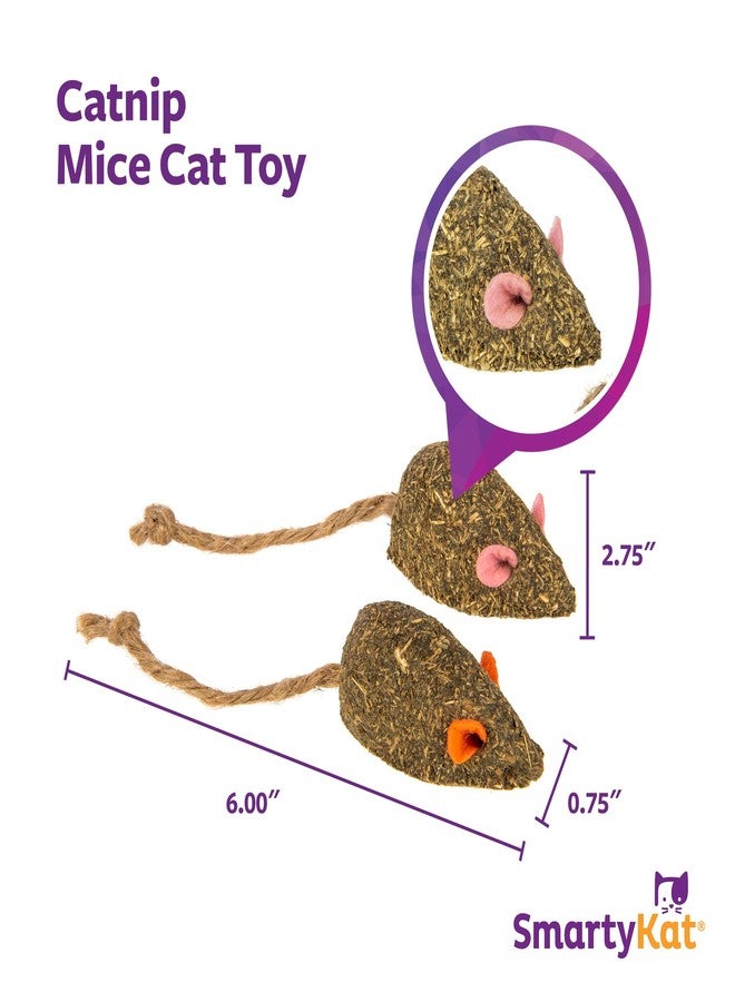 سمارتيكات لعبة سمارتي كات إنستينكتس ماوزر مايهيم هابي نيب للقطط، تحتوي على نعناع بري مضغوط وفئران على شكل فطر فضي، تحفز العقل، متينة، وأقل فوضى، عبوة من قطعتين - Image 3