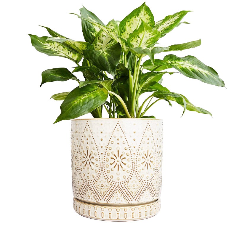 YFFSRJDJ 8 Inch Indoor Plant Pot with Drainage Holes and Saucers Ceramic Planter for Plants Succulent Orchid Flower Pots