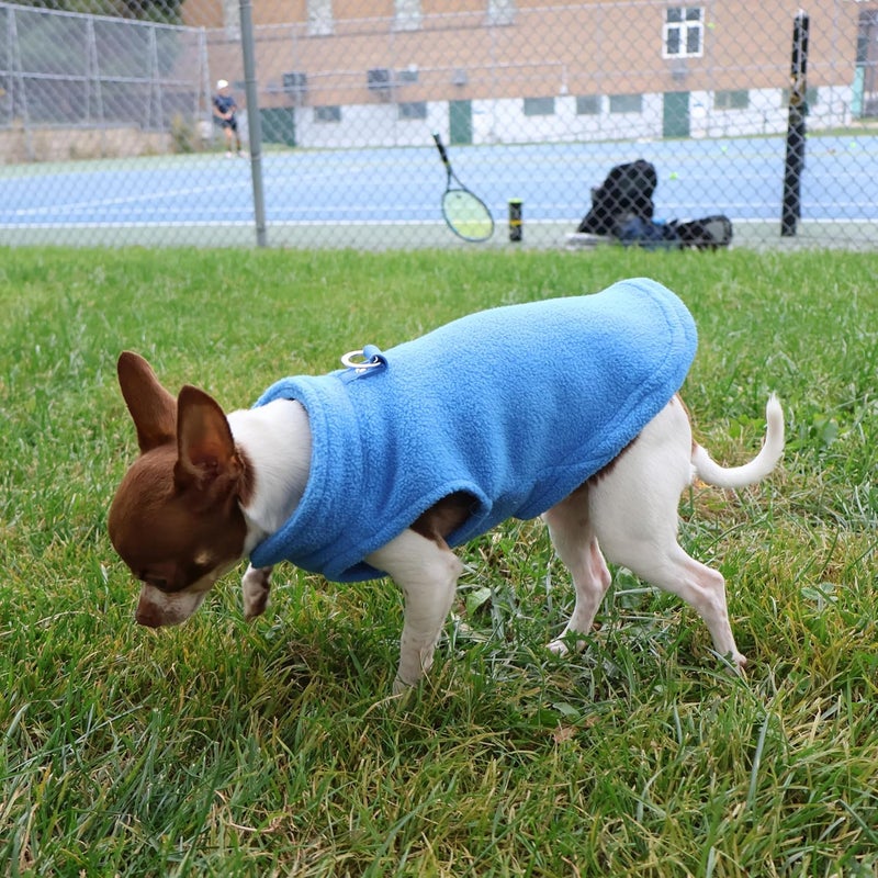 Jacko & Co - Fleece Vest Sweater with Leash Ring - 100% Cotton - for Puppies and Small to Medium Dogs, Kitten, Cats, Chihuahua - Warm for Fall/Autumn and Winter- Blue/Pink/Green/Grey/Black (Blue, S) - Image 4