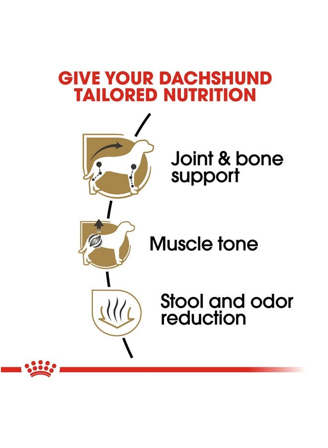 رويال كانين طعام جاف خاص بالكلاب من سلالة داشهند البالغة، كيس 10 رطل - Image 3