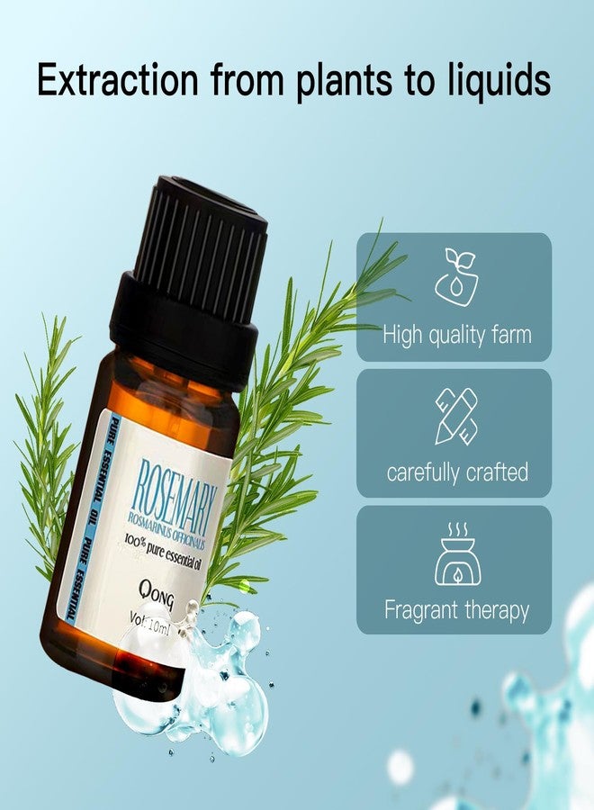 QONG Rosemary Essential Oil Blend, Rosemary Oil, Can be Used for, Hair, Skin, Nails, Aromatherapy Oil& Diffuser Essential Oils- 10ML - Image 3