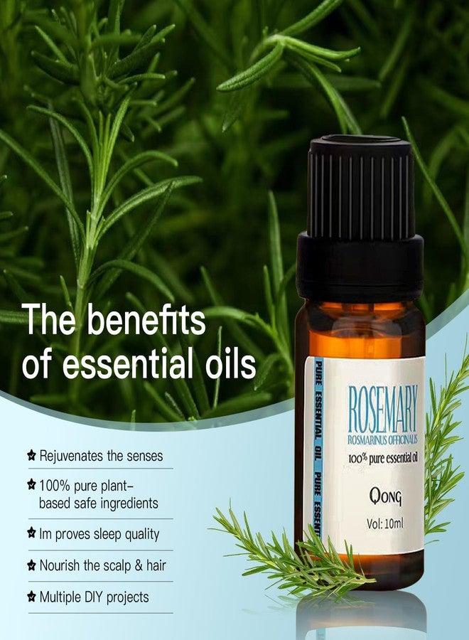 QONG Rosemary Essential Oil Blend, Rosemary Oil, Can be Used for, Hair, Skin, Nails, Aromatherapy Oil& Diffuser Essential Oils- 10ML - Image 5