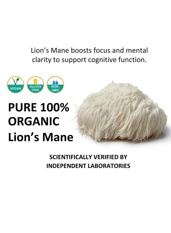 Jetsu Lions Mane Mushroom Powder, Organic, Vegan, Non-GMO Extract Supplement. Nootropic to Support Brain Health, Boost Neuron Growth and Your Immune System for Clarity and Focus. (227g) - Image 3