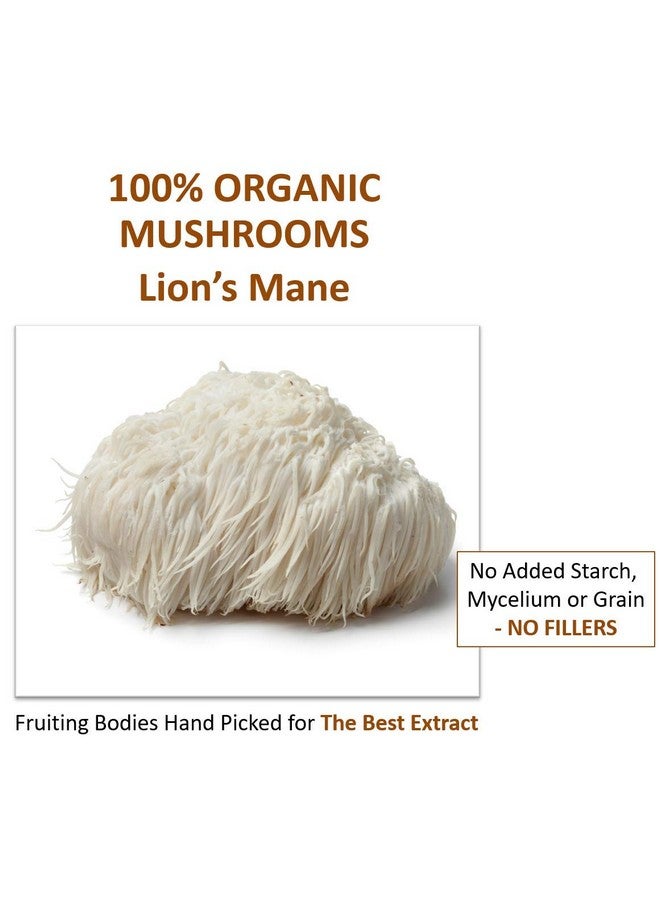 Jetsu Lions Mane Mushroom Powder, Organic, Vegan, Non-GMO Extract Supplement. Nootropic to Support Brain Health, Boost Neuron Growth and Your Immune System for Clarity and Focus. (227g) - Image 4