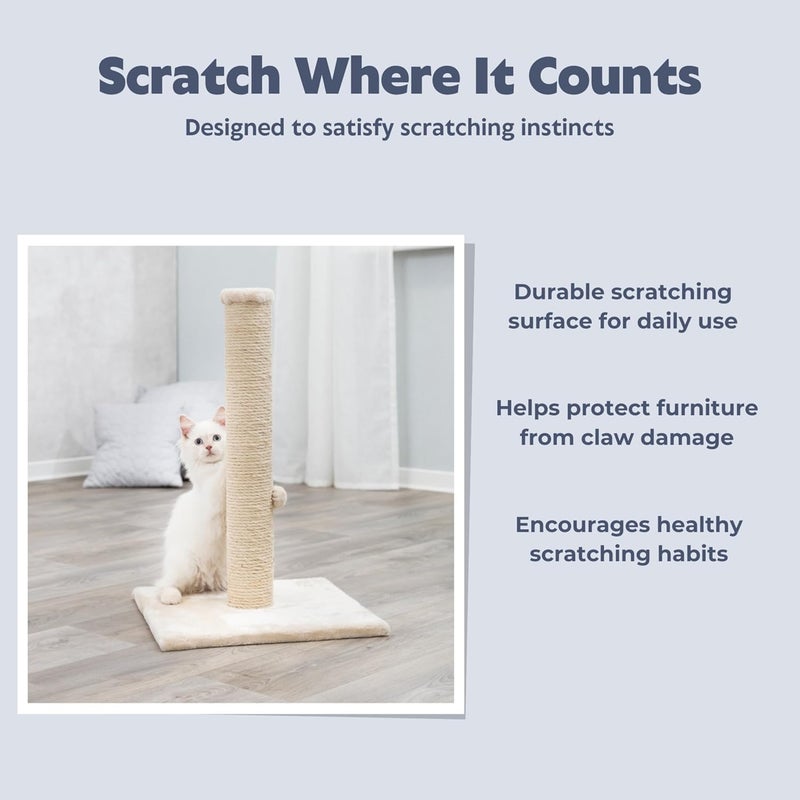 Trixie Parla Scratching Post, 62 cm, Beige - Image 3