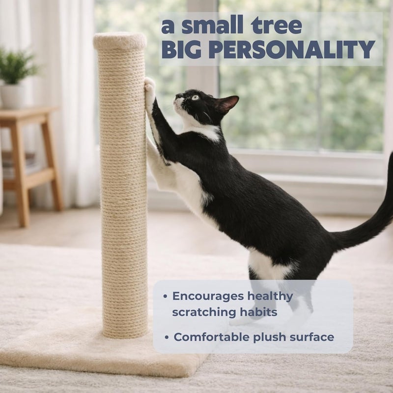 Trixie Parla Scratching Post, 62 cm, Beige - Image 2