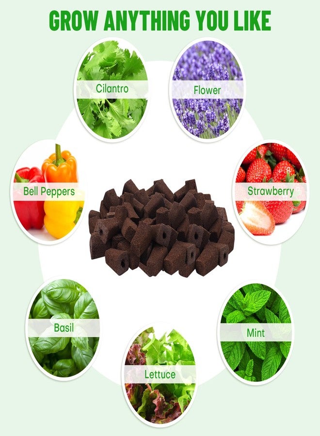 LAPOND 100 Pack Grow Sponges, Replacement Root Growth Sponges Seed Pods,Seedling Starter Sponges Kit for Hydroponic Indoor Garden System - Image 5