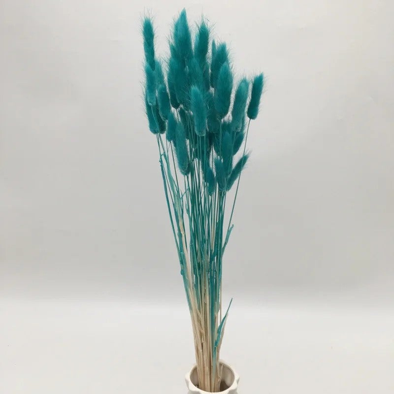 Bluejw Bouquet of Preserved Rabbit Tail Grass Dried Flowers in Primary Colors – Natural Dried Plants for Wedding Decor, Home Decoration, and Rustic Floral Arrangements - Image 1