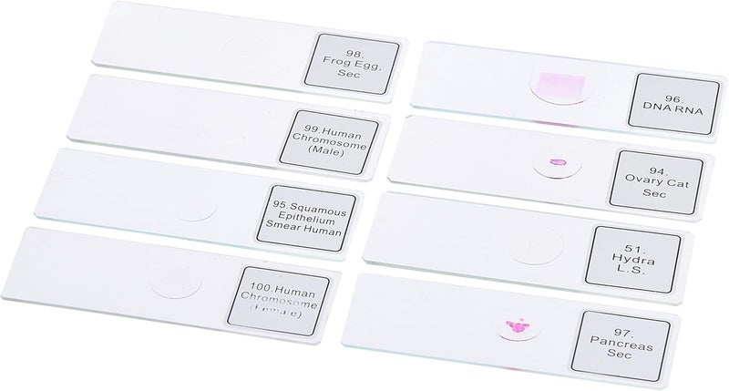 Celestron Prepared Microscope Slides 100-Piece Set (44412) - Image 2