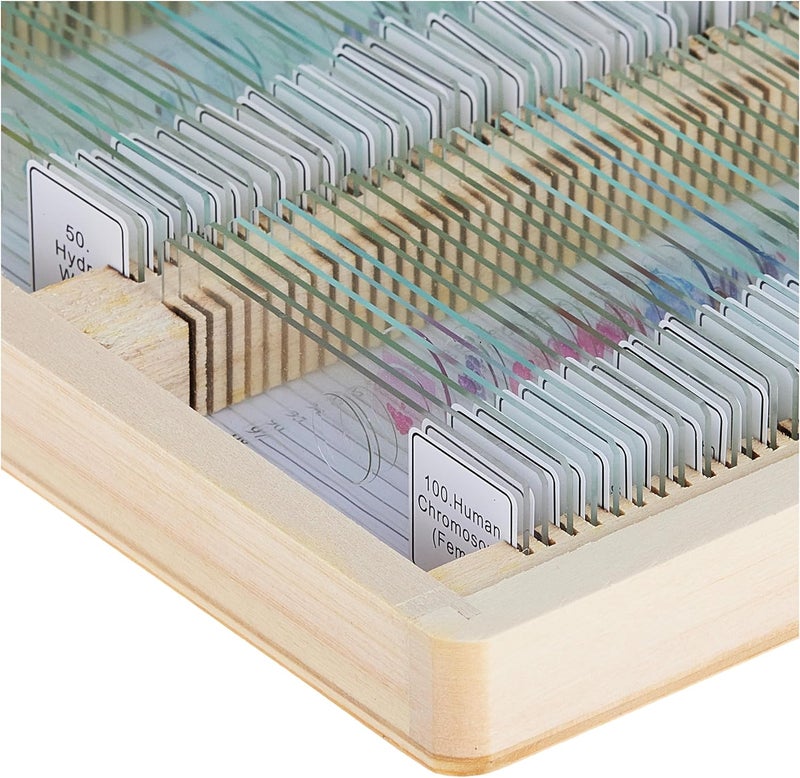 Celestron Prepared Microscope Slides 100-Piece Set (44412) - Image 4