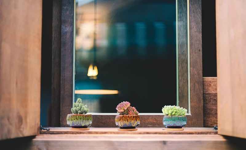 LamDawn Cute Ceramic Succulent Garden Pots, Planter with Drainage and Attached Saucer, Set of 5 -Plants Not Included (Round) - Image 2
