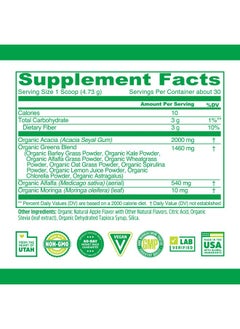 Zhou Zhou Nutrition USDA Organic Supergreens Powder, Superfood Smoothie Juice Mix, Spirulina, Chlorella, Wheatgrass, Kale, Fiber, Immune and Energy Support, Vegan, Non-GMO, 30 Servings  - Image 2