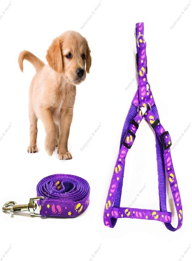 PETLICIOUS & MORE طقم سرج ومقود للجراء من النايلون المطبوع من بيتليشوس آند مور، مقاس 15 مم، مناسب للكلاب الصغيرة والمتوسطة - بنفسجي - Image 1