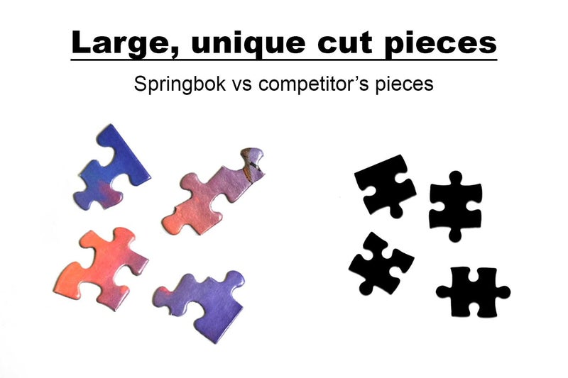 Springbok - Camping World - 1000 Piece Jigsaw Puzzle- Illustration Features Camping at It's Best - Image 4