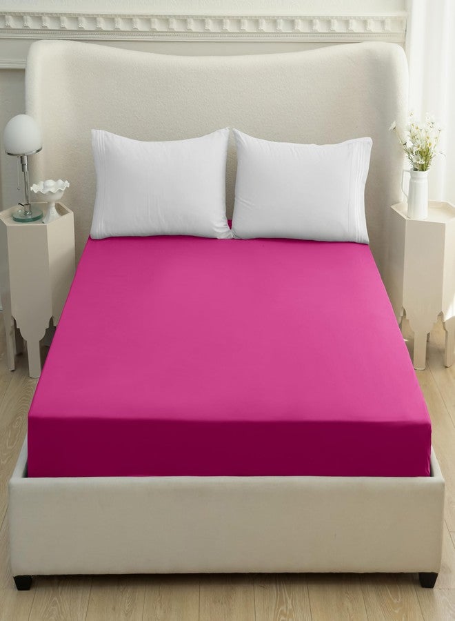 Mocassi California King Fitted Sheet - Deep Pocket Cooling Sheets up to 16 inch - Hotel Luxury 1800 Premier - Softest Sheet - Wrinkle Resistant - 1 Single Bottom Fitted Sheet, Cali King, Hot Pink - Image 2