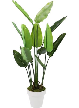 Dekorsende Artificial Tropical Star Tree 155 cm  - Image 1