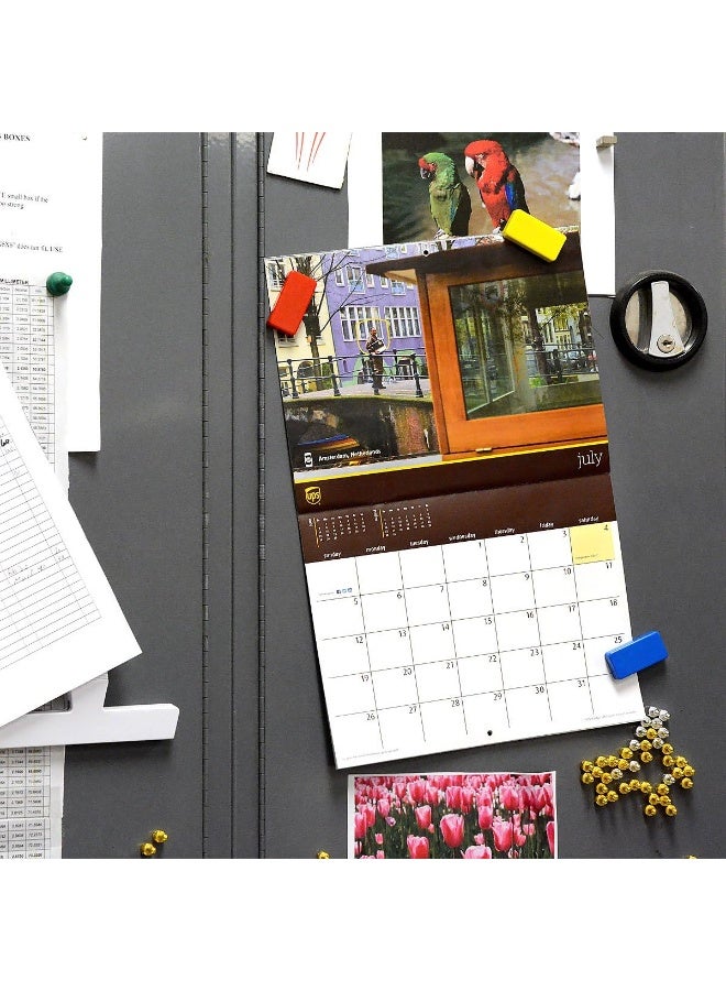 CMS Magnetics - (12-Pack Dominos Multi-Color) Colorful Super Strong Ceramic Domino Magnets for Dry Erase Whiteboards, Bulletins, Refrigerator, Office, Kitchen, School, Classroom - Image 4