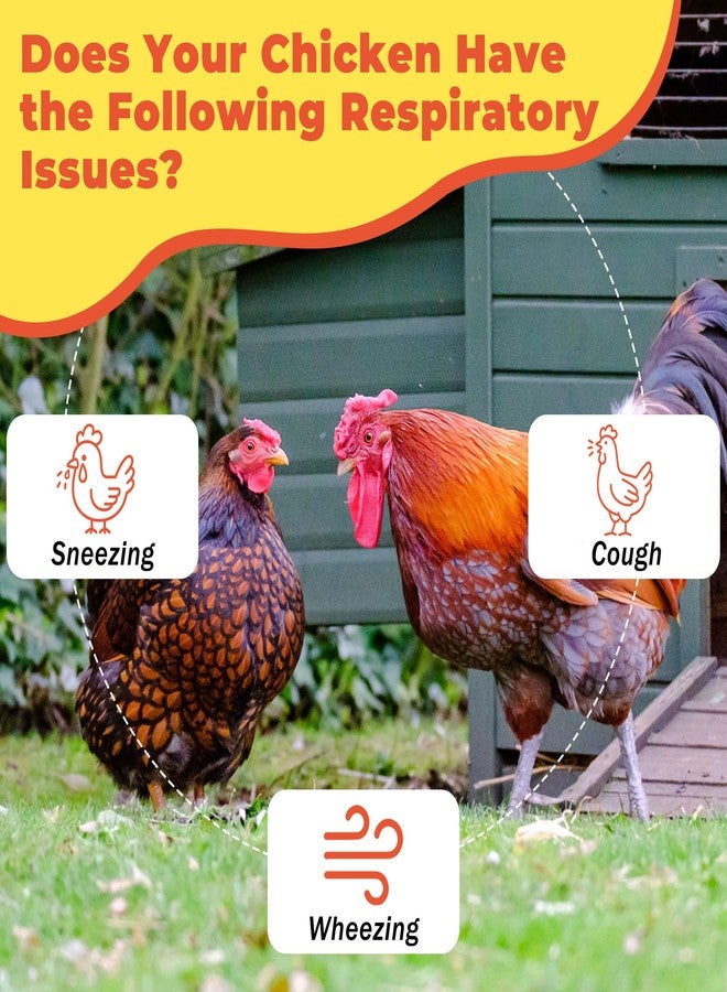 VivaElixir Respiratory Aid for Poultry - Chicken Supplement - Drinking Water Additive - Supports Respiratory Health in Roosters - Suitable for All Birds - 6 oz Dropper - Made in USA - Image 4