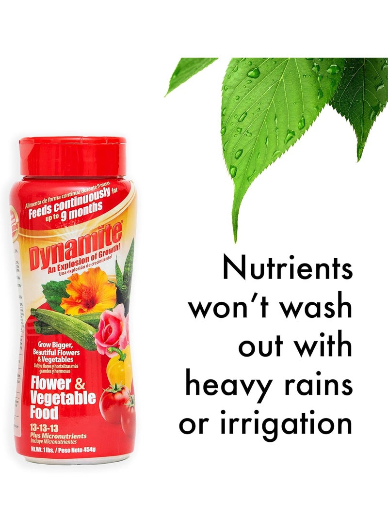 Dynamite Dynamite Complete Plant Food Flower  Vegetable1 lb  - Image 5