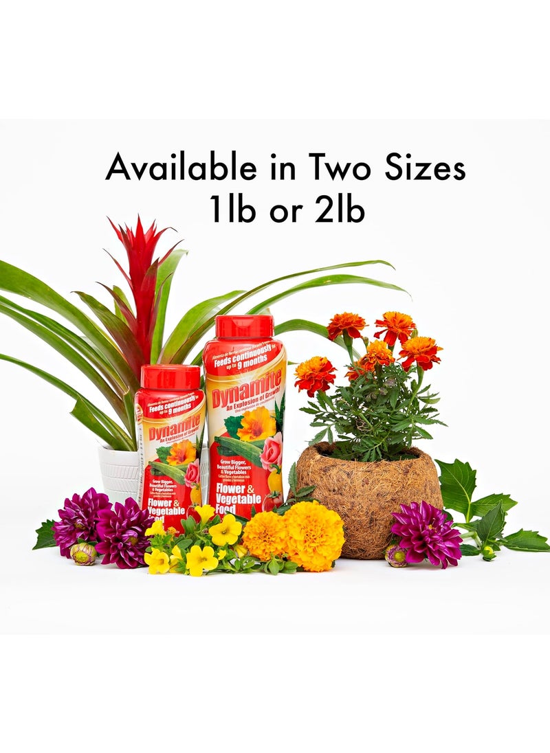 Dynamite Dynamite Complete Plant Food Flower  Vegetable1 lb  - Image 3