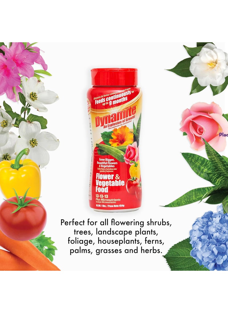 Dynamite Dynamite Complete Plant Food Flower  Vegetable1 lb  - Image 4