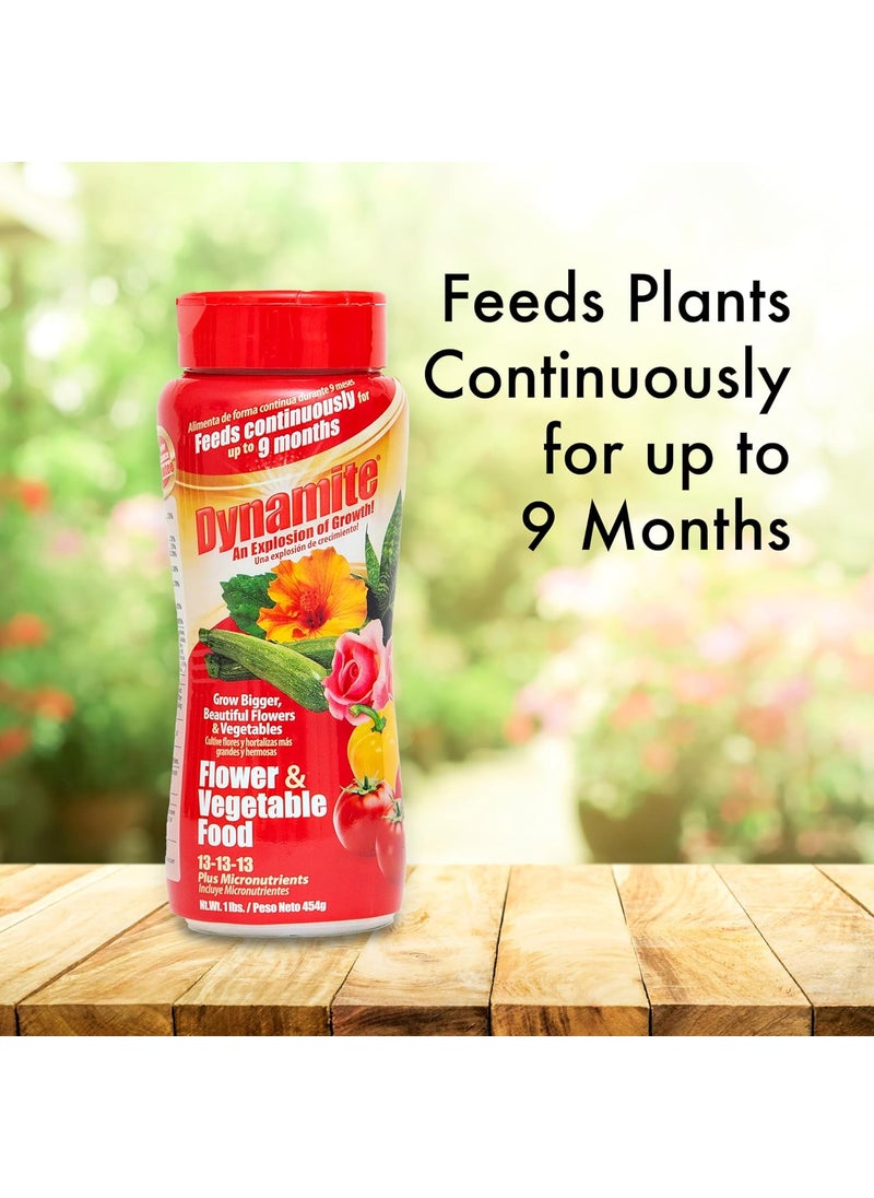 Dynamite Dynamite Complete Plant Food Flower  Vegetable1 lb  - Image 2