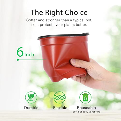 Tim Tim Agro 6 Inch Nursery Pots, 25 Packs Variety Plastic Flexible Pots with Drainage Hole, Plant Containers for Seedlings, Succulents, Transplanting(Red & Black - Round) - Image 2