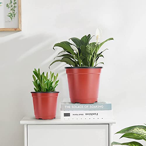 Tim Tim Agro 6 Inch Nursery Pots, 25 Packs Variety Plastic Flexible Pots with Drainage Hole, Plant Containers for Seedlings, Succulents, Transplanting(Red & Black - Round) - Image 5