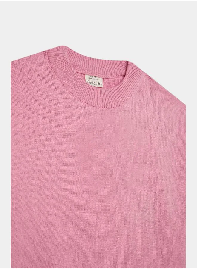 ديفاكتو Solid Regular Fit Round Neck Knit Sweater by Styli