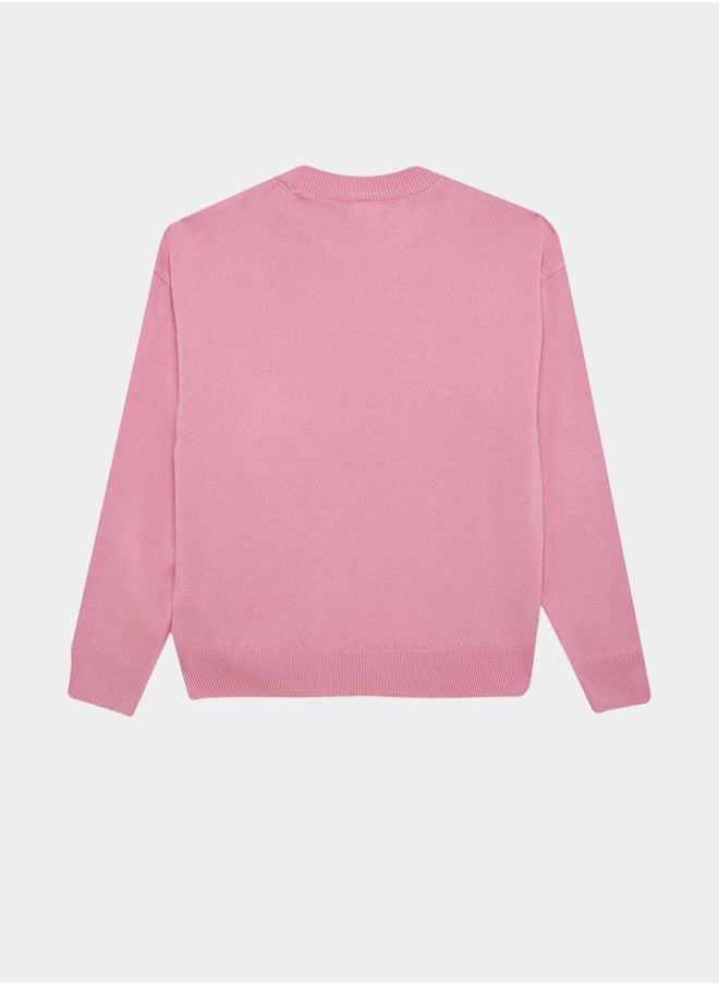 DeFacto - Solid Regular Fit Round Neck Knit Sweater by Styli - Image 1