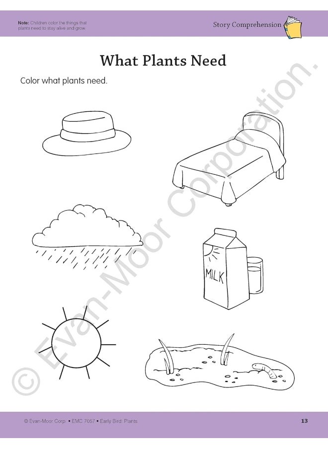 Early Bird: Plants, Age 4 - 5 Workbook  - Image 5